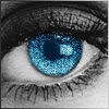  (100x100, 13Kb)