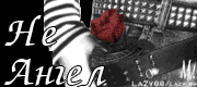  (180x80, 6Kb)