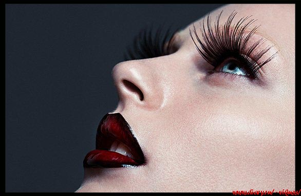 (586x383, 51Kb)