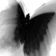  (80x80, 8Kb)