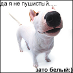  (150x150, 43Kb)