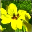  (110x110, 12Kb)