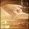  (100x100, 4Kb)