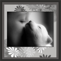  (120x120, 14Kb)