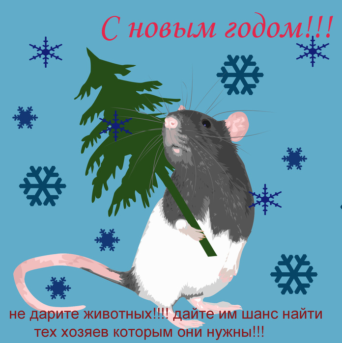Новогоднее Поздравление Про Мышку