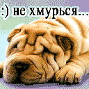  (128x128, 7Kb)