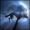 12467517_wolfgrey5_20070807_1157655321 (100x100, 35Kb)