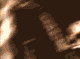  (80x59, 97Kb)