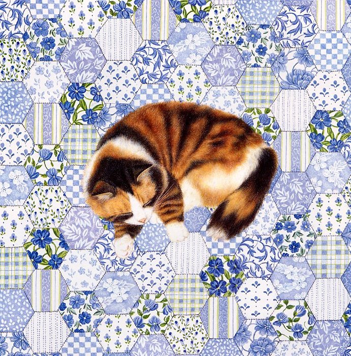 http://img1.liveinternet.ru/images/attach/b/3/13/324/13324503_1199269091_Anne_Mortimer__Cats_Sleep_Anywhere_07_end.jpg