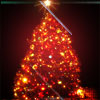 10119516_1196426130_Christmas_tree_by_nutnut90 (100x100, 13Kb)