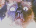  (150x115, 3Kb)