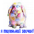  (120x120, 15Kb)