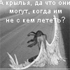  (100x100, 19Kb)