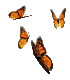 butterfly5-web (70x80, 5Kb)