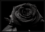  (150x109, 35Kb)