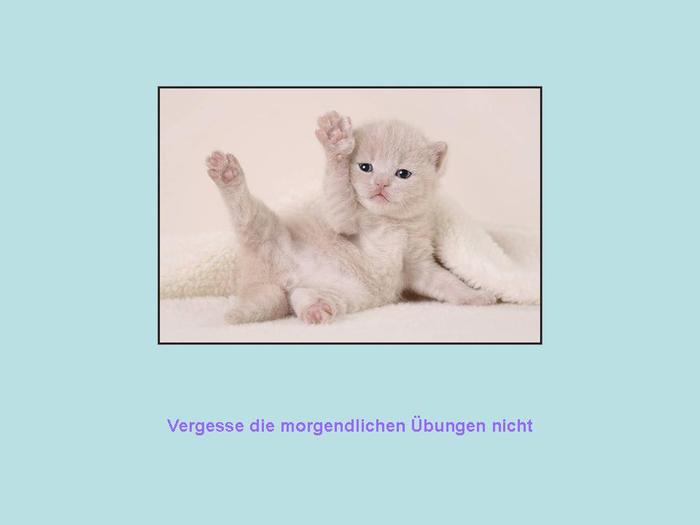 (700x525, 15Kb)