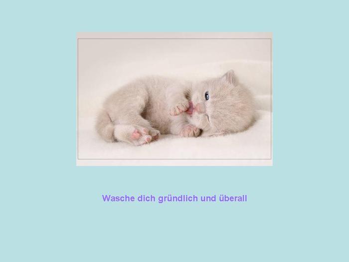 (700x525, 14Kb)