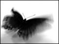  (120x90, 2Kb)