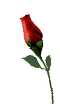  (86x150, 17Kb)