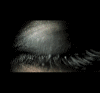 image (100x93, 19Kb)