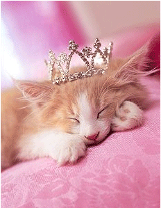 6190794___kitty_princess (232x299, 48Kb)