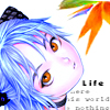  (100x100, 45Kb)
