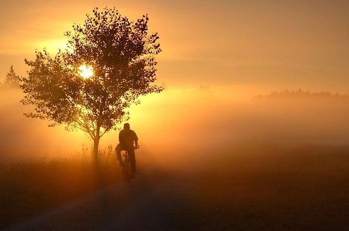 055_pics (699x463, 39Kb)