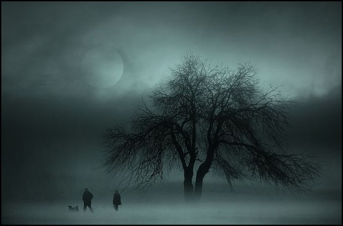  (700x462, 35Kb)