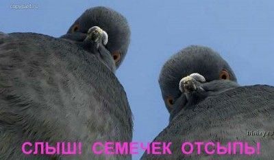 (400x233, 16Kb)