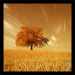  (150x150, 30Kb)