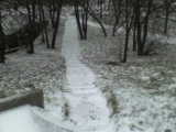  (160x120, 8Kb)