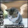  (100x100, 14Kb)