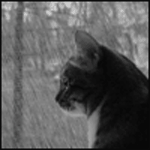  (150x150, 45Kb)