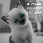1203167115_7435ead2949a (150x150, 21Kb)