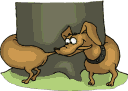  (128x91, 17Kb)