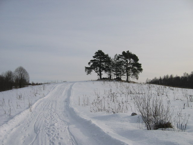 (640x480, 71Kb)