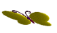  (84x49, 13Kb)