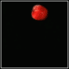  (100x100, 25Kb)