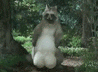  (200x147, 436Kb)