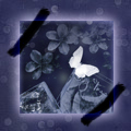  (120x120, 12Kb)