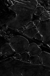  (100x150, 22Kb)