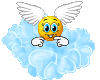  (100x80, 11Kb)