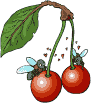  (91x103, 8Kb)