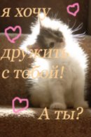  (130x195, 7Kb)