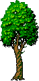 (58x118, 1Kb)