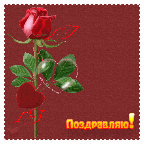 http://img1.liveinternet.ru/images/attach/b/3/22/438/22438342_nn0956.gif