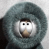  (98x98, 8Kb)