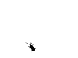  (160x120, 3Kb)