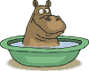  (100x80, 11Kb)