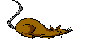  (100x39, 1Kb)